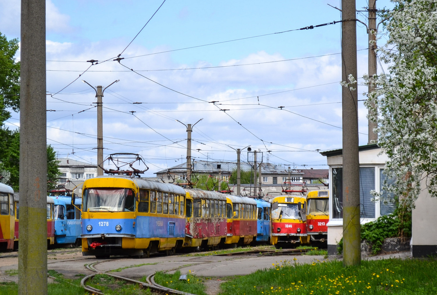 Фото